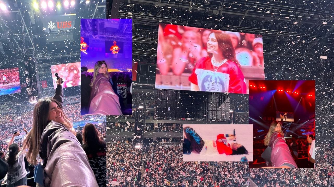 i filmed the whole billie eilish concert but unfortunately my off-key screams ruined it (sorry)
