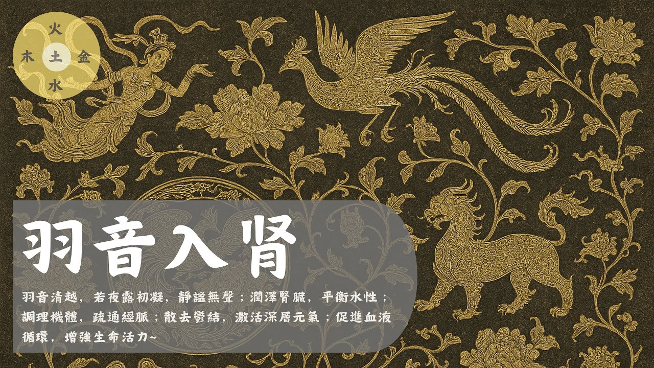 羽音入肾 - 調理機體，疏通經脈，散去鬱結~      羽音,静心,安神,失眠,舒缓,养生,中医五音,五音疗愈,五音疗法五行,Healing,Mindfulness,Zen