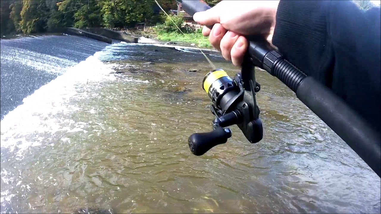 Test - Savage Gear 3D LB Roach Paddle Tail 7,5cm Pt. 2