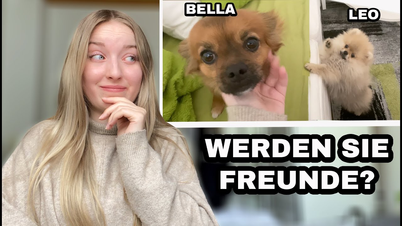 werden BELLA und LEO noch Freunde? 🤔