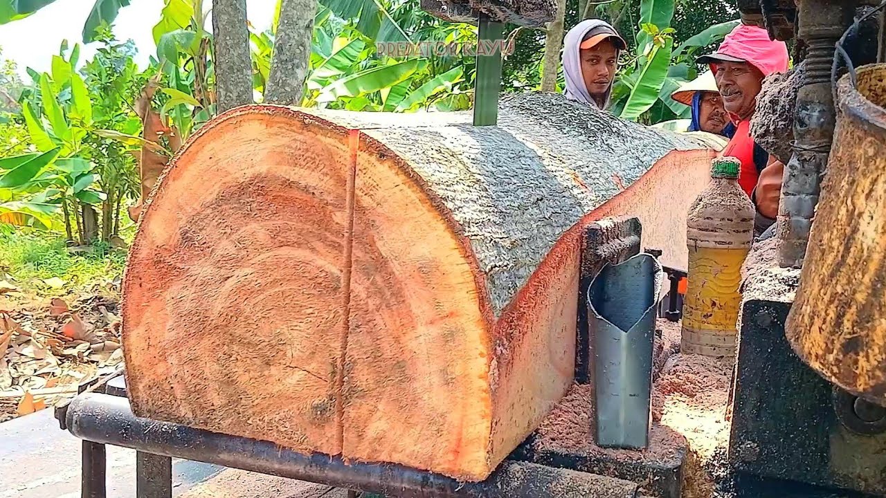 SUPERNYA KAYU SENGON DESA‼️Bahan Balok 15×15-Geraji Mesin Bandsaw Rakitan