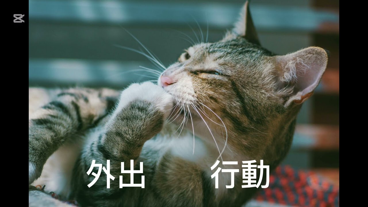 初心者必見！今すぐ使える日常英会話100選！