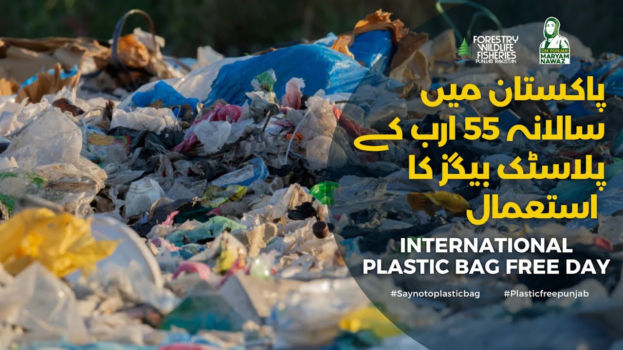 Celebrate International Plastic Bag Free Day 2025 | Start Living Plastic-Free! | FW&F, Punjab