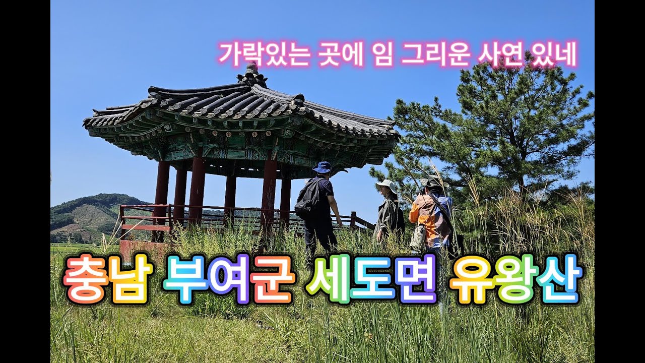 8. 백제 유민의 노래 &lsquo;산유화가&rsquo; / 충남 부여군 세도면 유왕산2023.09