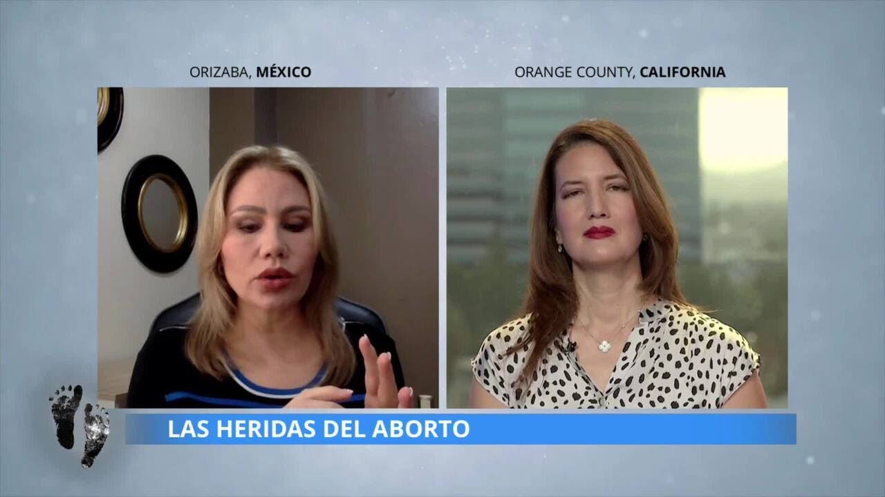 Informe Provida:  Las Heridas del Aborto 23|09|22