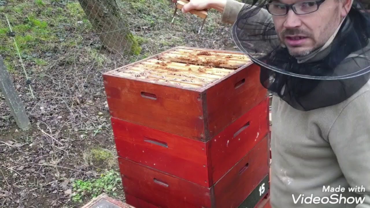Bioúly - Jarní podněcování včel, druhá dávka 25.2.2020