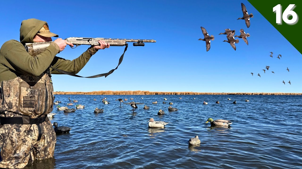 DUCK HUNTING Public Land | MIXED BAG Over A HUGE SPREAD