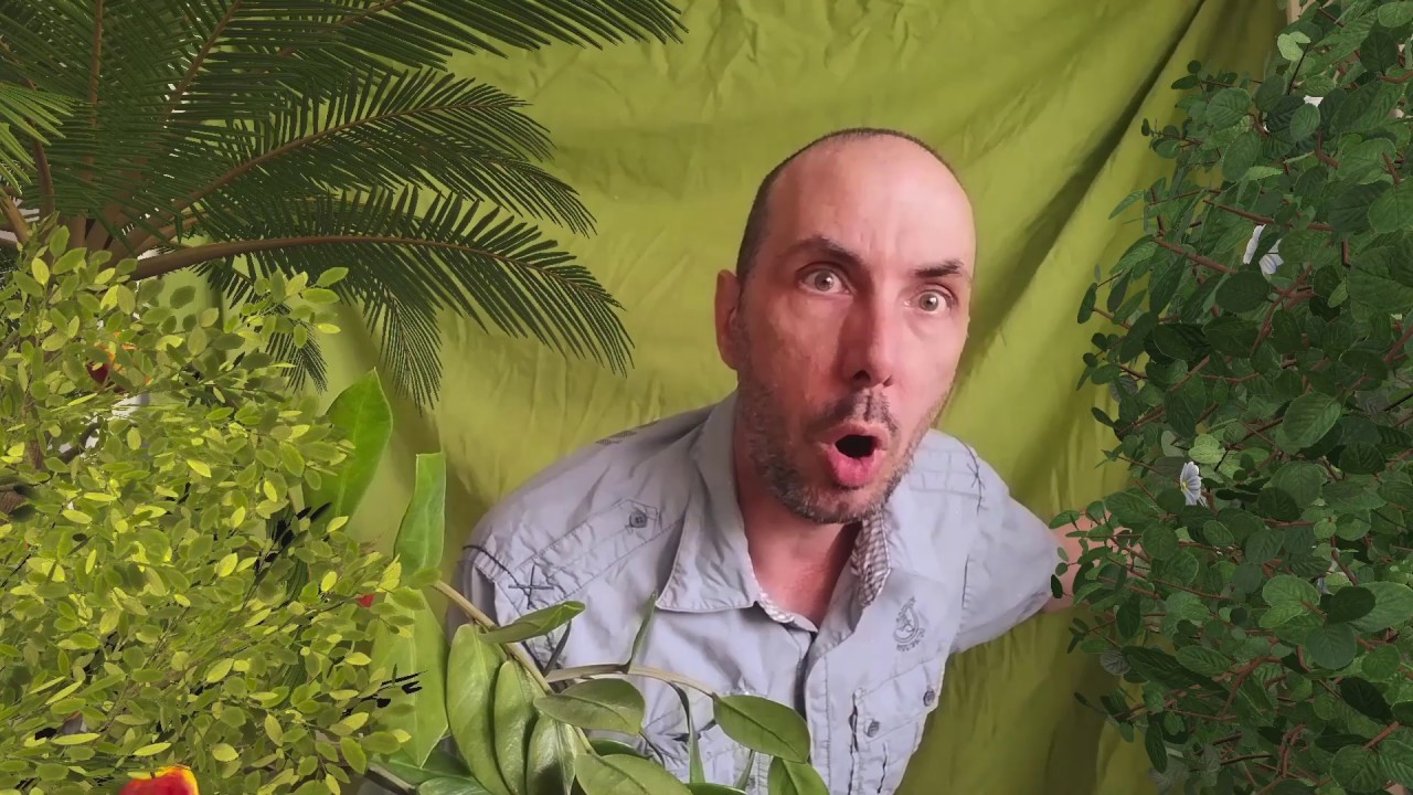 9 mei - Dag van de Trekvogel