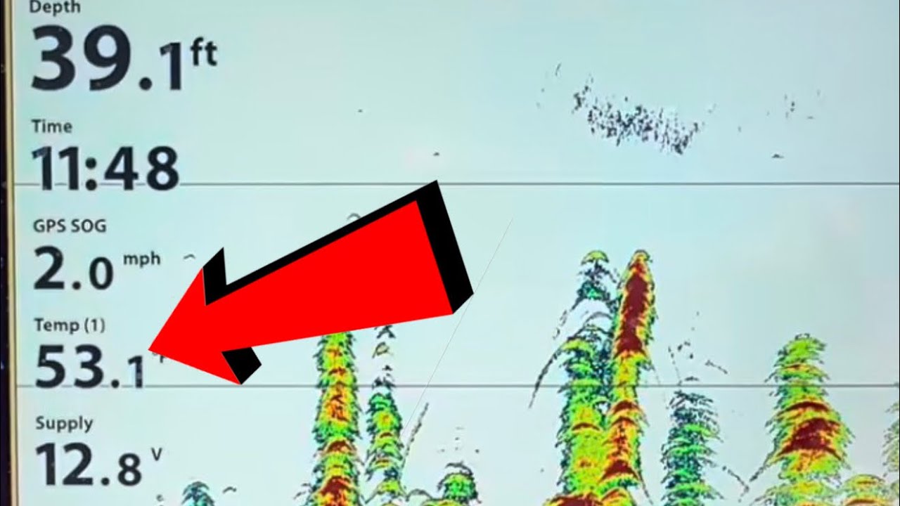 How Water Temperature Affects The Lures Bass Bite Best..