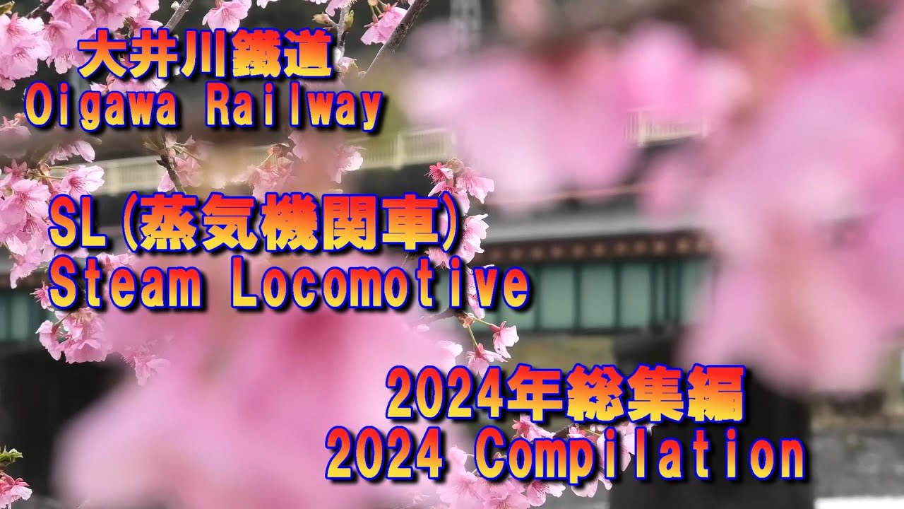 2024年大井川鉄道SL(蒸気機関車) 総集編/Compilation of Japanese local railway SL (Steam Locomotive) in 2024.