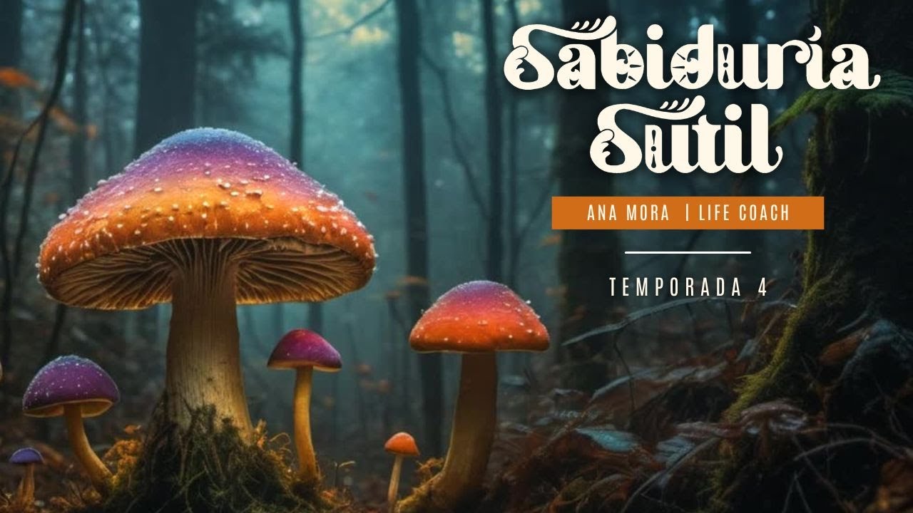SABIDURÍA SUTIL | Ep 25. Cómo crear hábitos que SÍ se sostienen (desde un sistema nervioso relajado)