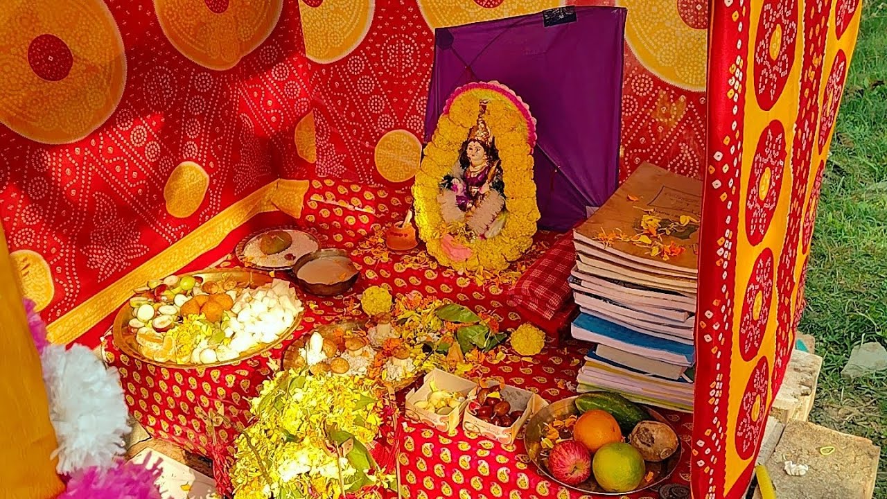 Saraswati Pujo & Picnic Vlog.. #saraswatipuja2026 #vlog #youtube #2026 