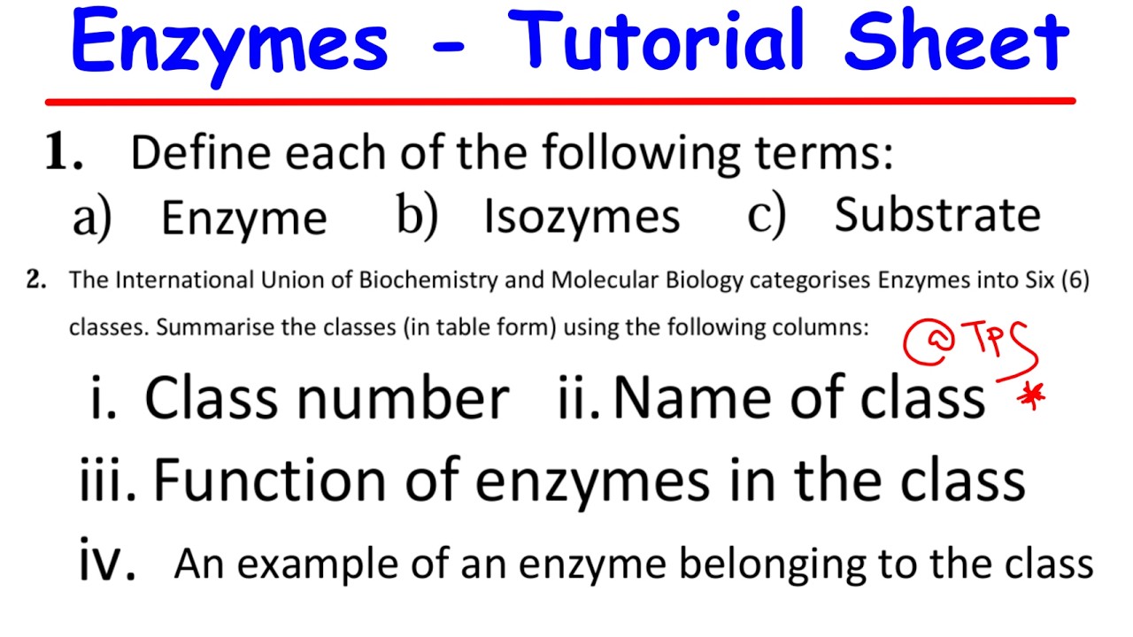 ENZYMES  - STEP BY STEP TUTORIAL SHEET SOLUTIONS