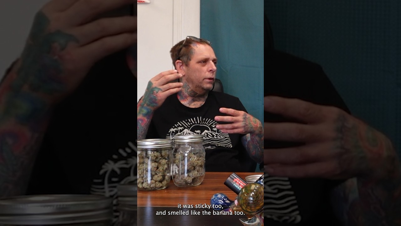 @OrgnKid рассказывает историю создания сорта Banana OG #CannabisHistory #ArchiveTv #OrgnKid