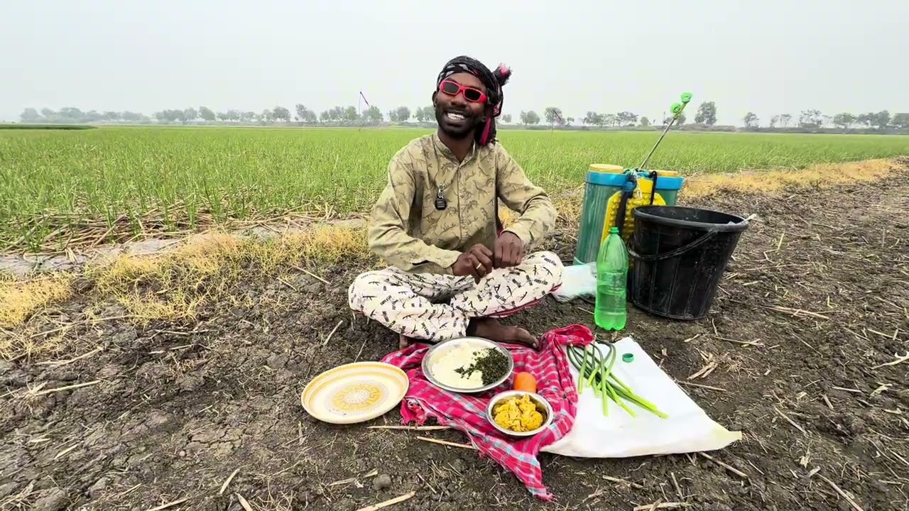 রসুনের জমিতে আগাছা পরিষ্কার এবং মাঠের ভিতরেই খাওয়া-দাওয়া শেষ করলাম দাদা#monirul #farmer 🌱🙂