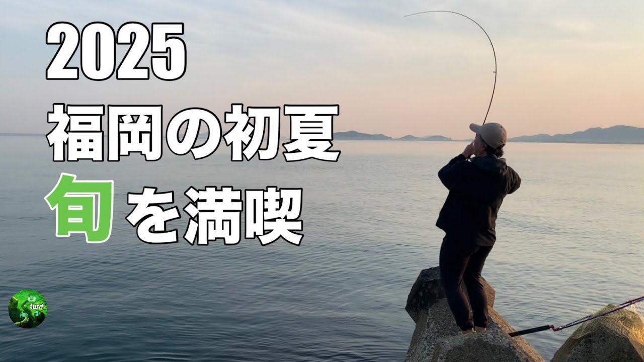 福岡　初夏の