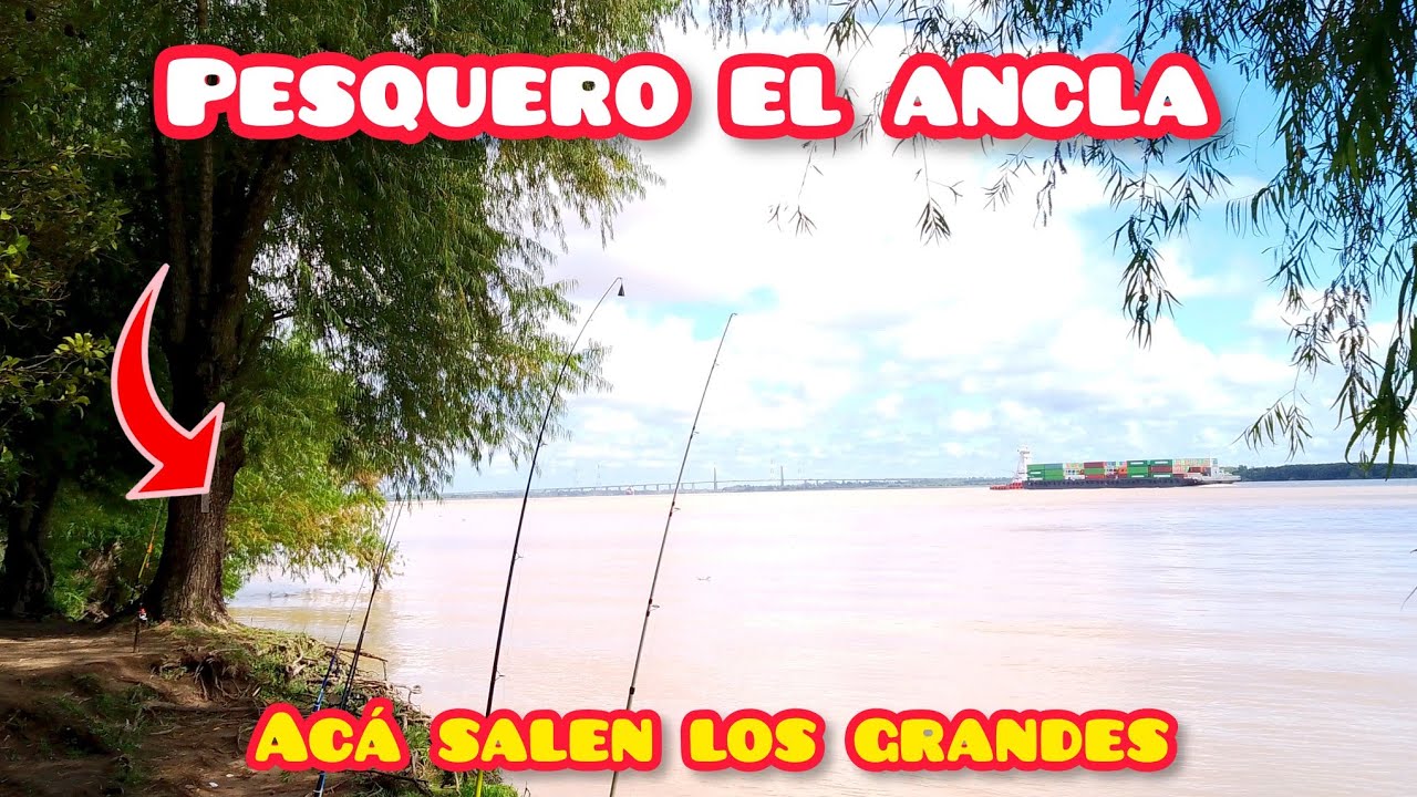 LLENO DE PECES ENORMES EN ZÁRATE. Pesquero el Ancla