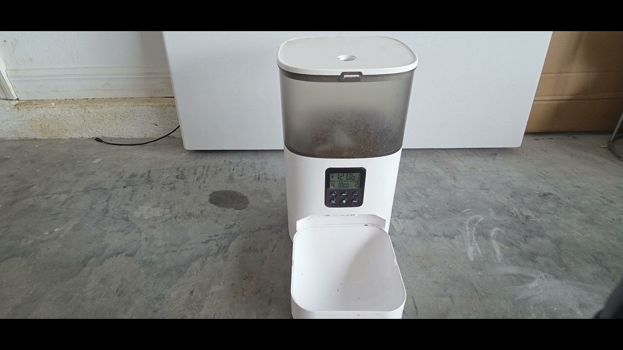 Never Miss Feeding Time Again | Automatic Cat and Dog Feeder Review