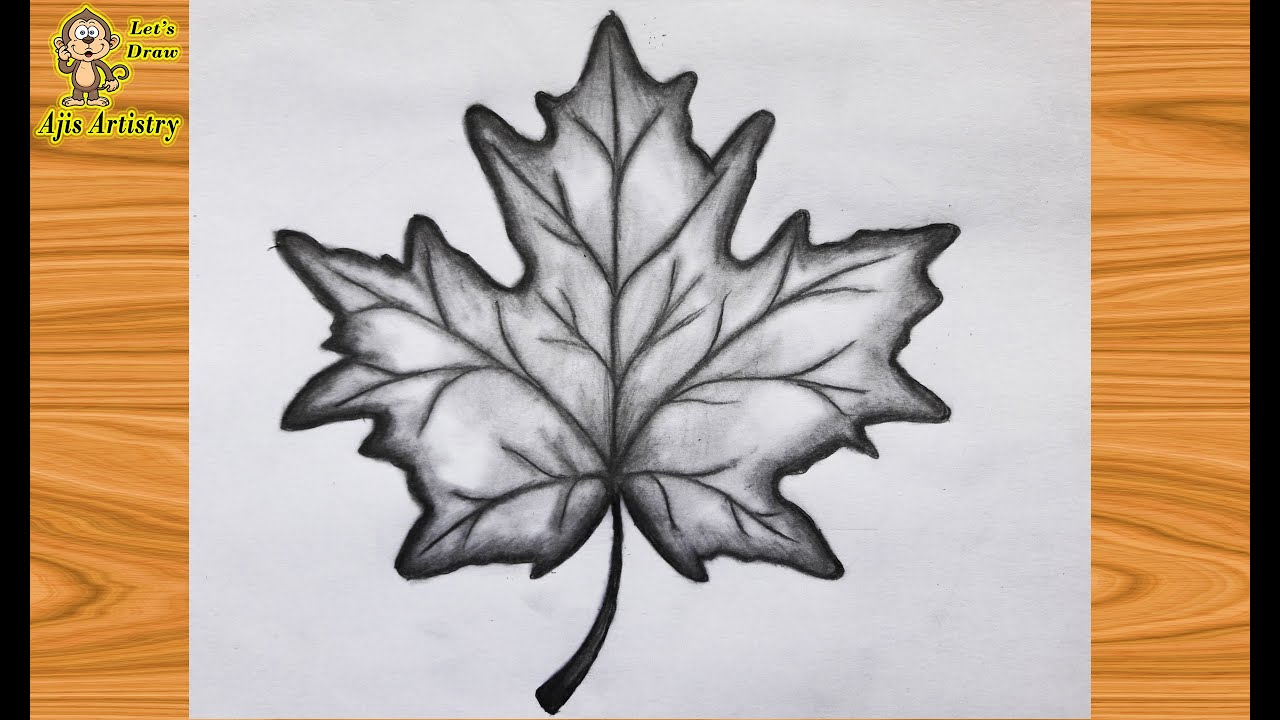How to Draw a Leaf | Realistic Leaf Drawing | MAPLE Leaf Drawing | By AjisArtistry