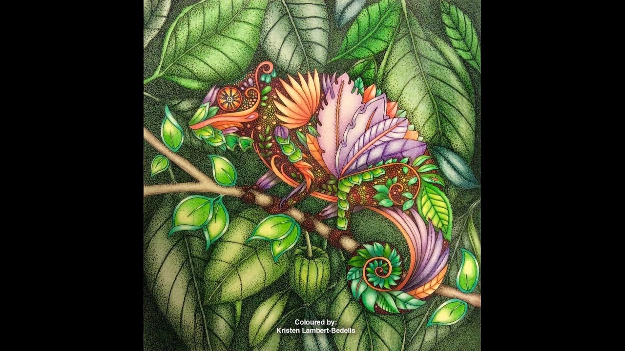 Magical Jungle Collection Johanna Basford SGG 10