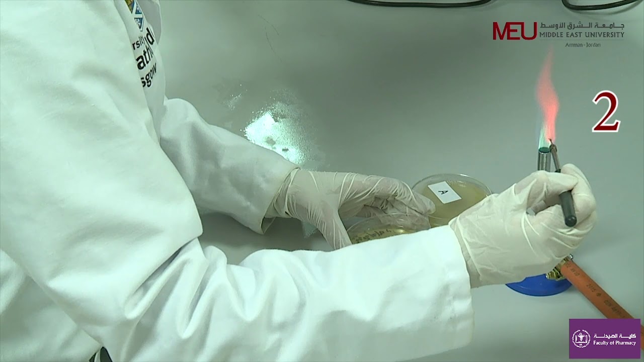 Pharmaceutical Microbiology Lab - Aseptic techniques and Isolation of pure culture