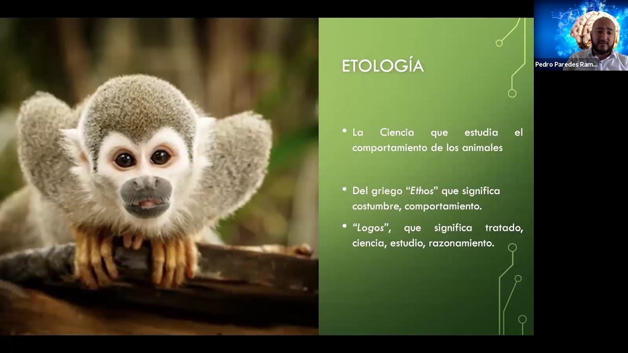 Etología y Cognición Animal (Webinario Dr. Pedro Paredes Ramos)