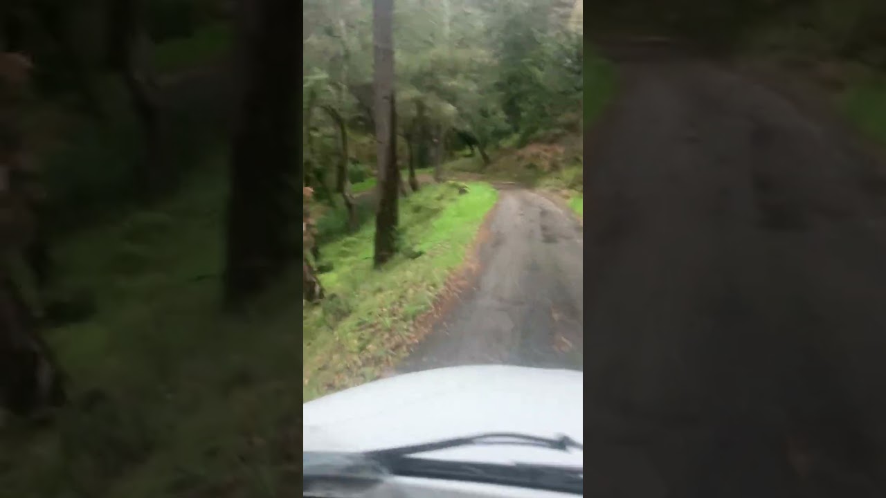 Driving a propane truck in Northern California