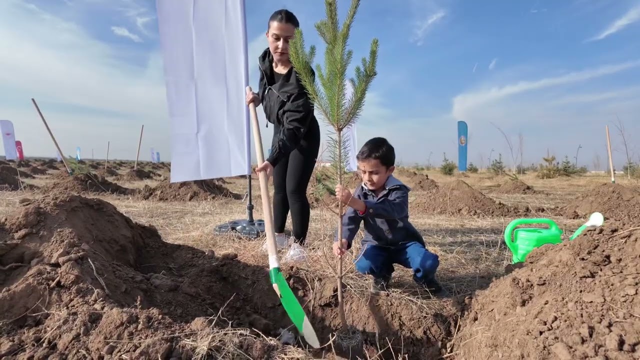 🌳11 Kasım Millî Ağaçlandırma Gününde Kampüste Fidanlar Toprakla Buluştu.