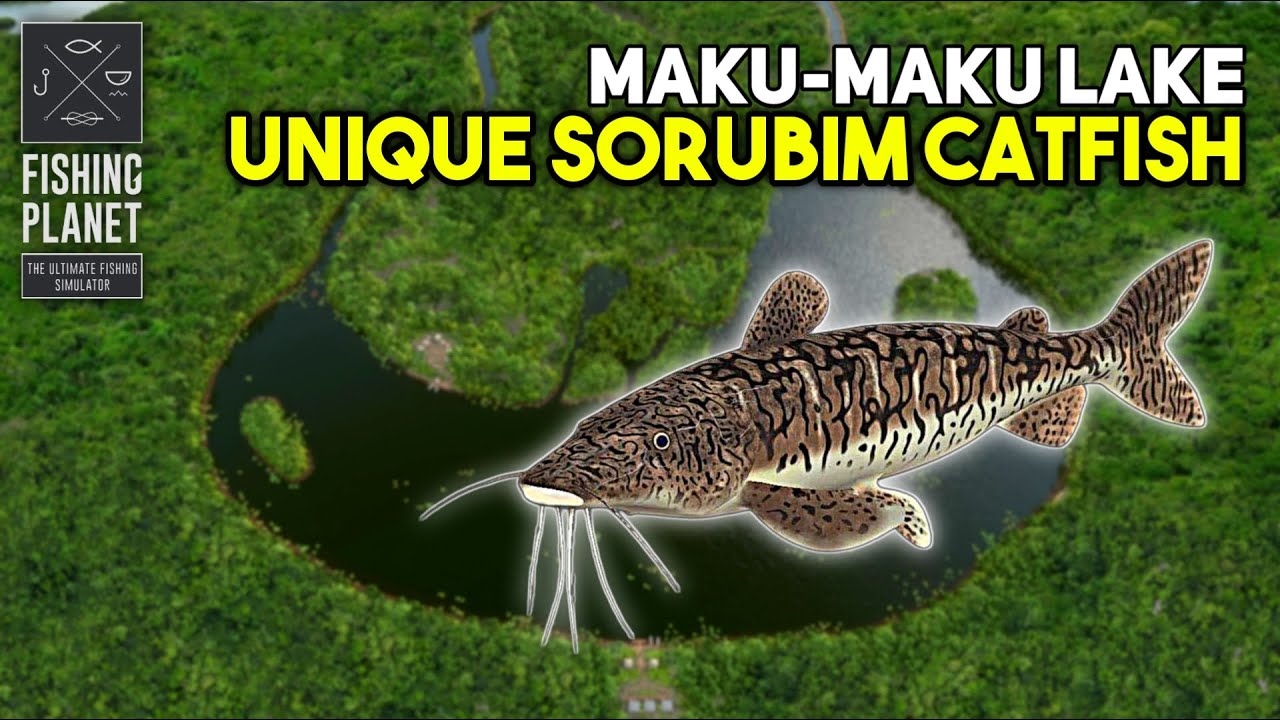 Unique Sorubim Catfish Maku-Maku Lake - Fishing Planet