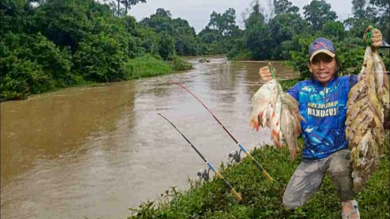 Mancing camping..!! di sungai pedalaman hutan yang jarang di pancingi pantesan dapat banyak