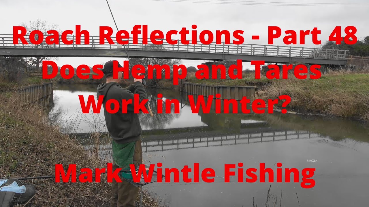 Does Hemp and Tares Work in Winter?