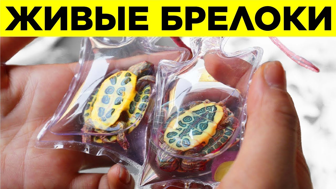 Вещи, Которые Есть Только в Китае