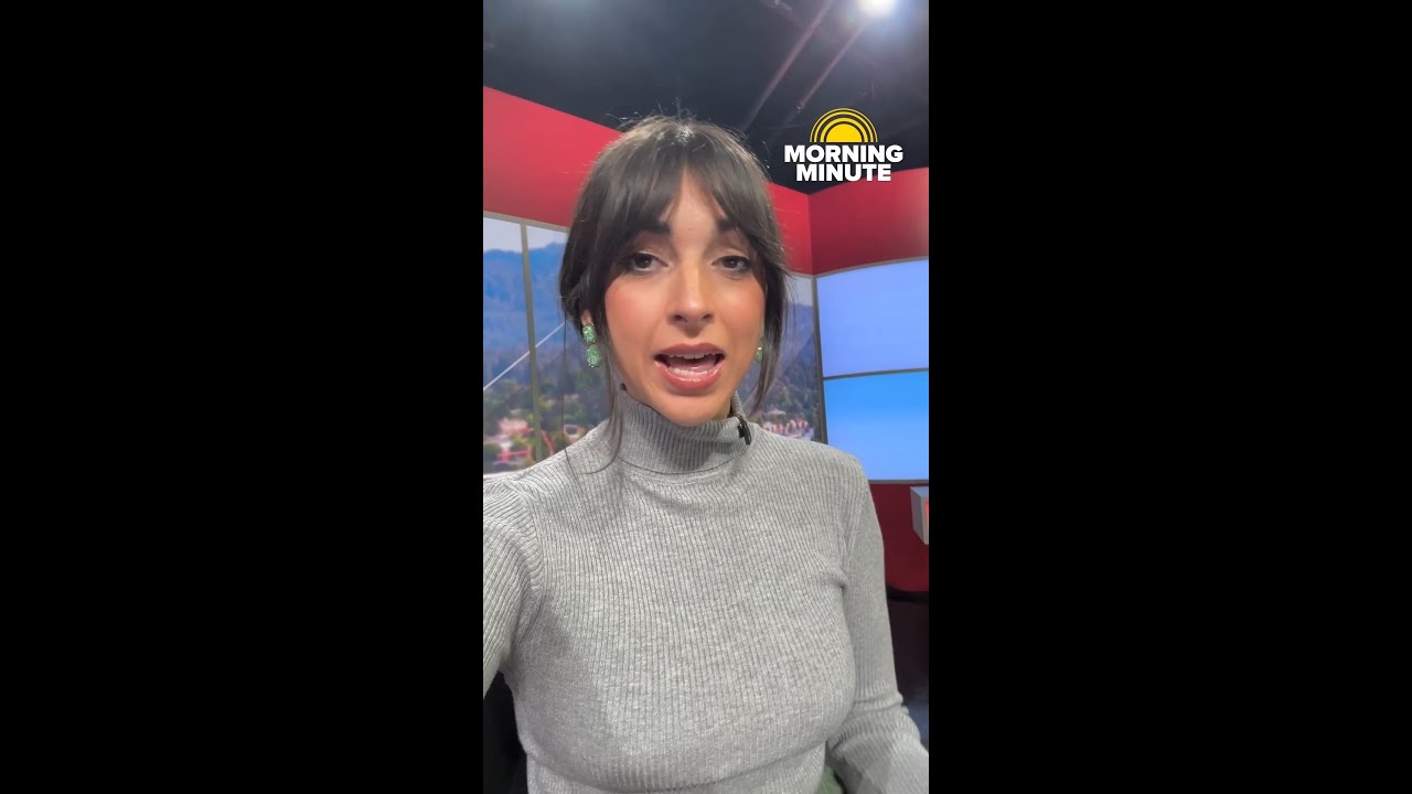 Утренняя минута КВАЛА... Украденный котёнок, Транспорт