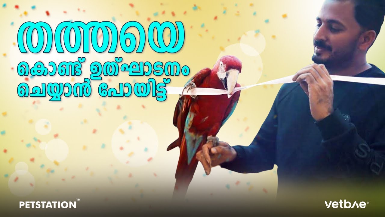 തത്തയേക്കൊണ്ട്‌ ഷോപ്പ്‌ ഉദ്ഘാടനം ചെയ്യിക്കാൻ പോയതാ.. പിന്നെ ഒരു ദു‌ഃഖവാർത്തയും ഒരു സന്തോഷവാർത്തയും..