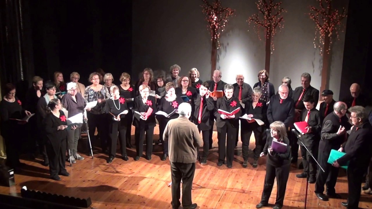 Dolça cançó de la nit de Nadal. Coral Baluern. Concert Nadal CMIG 2016.avc