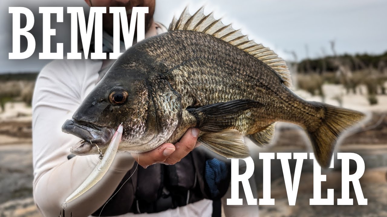 Bream + Big Flathead | Bemm River
