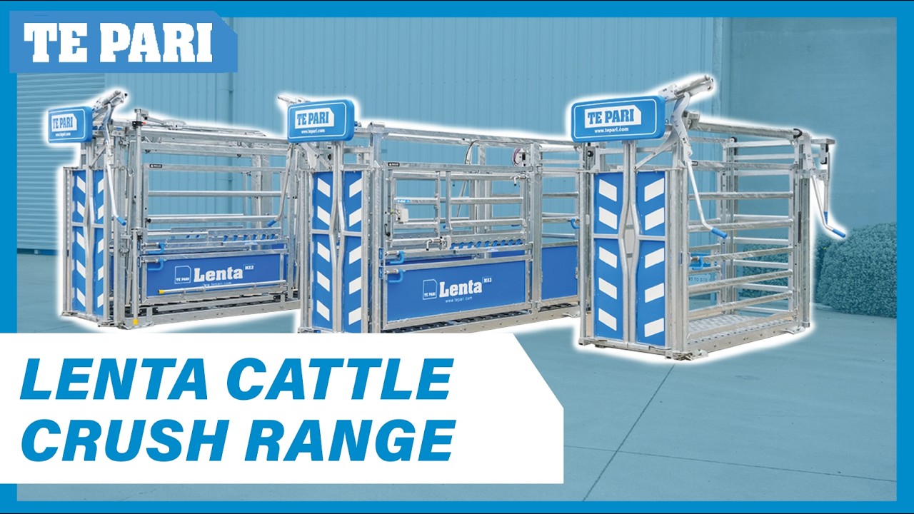 Обзор ассортимента Lenta Cattle Crush