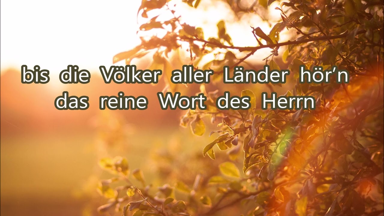 Prächtig wie der Sonne Strahlen