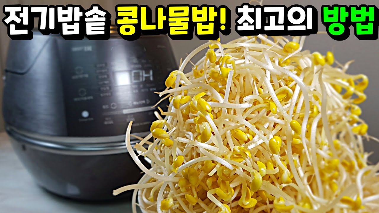 3일째 먹고 있는데도 질리지가 않아요! 가장 확실한 방법👍콩나물은 아삭아삭! 밥은 고슬고슬!