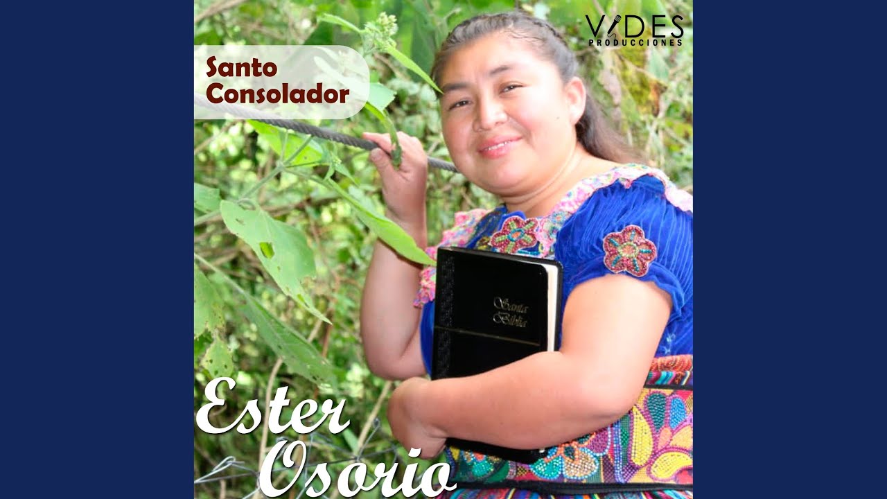 Santo Consolador