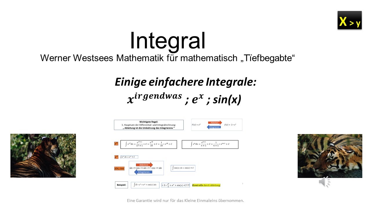 Integration von x hoch irgendwas, e hoch x und sin x