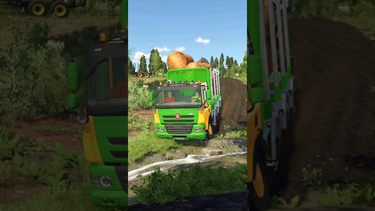 BIG LOGS EXPORT | Farming Simulator 22 #thedxgaming #farmingsimulator22