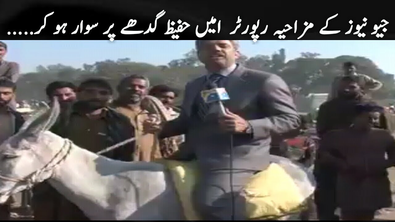 Geo news reporter Ameen Hafeez funny report on donkey.