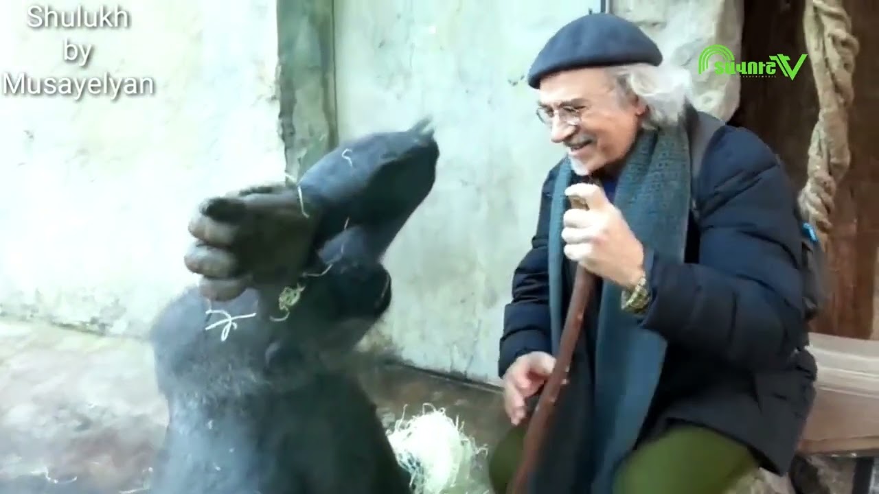 Դհոլչին. Մաս 6 | Dholchin. Mas 6 | Shulukh by Musayelyan