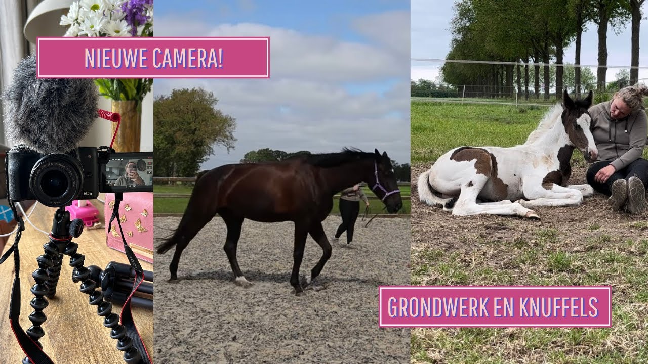 OPFOK of op de wei? En dit is nog NIET GOED bevestigd bij Balou.. - Life as Esmé