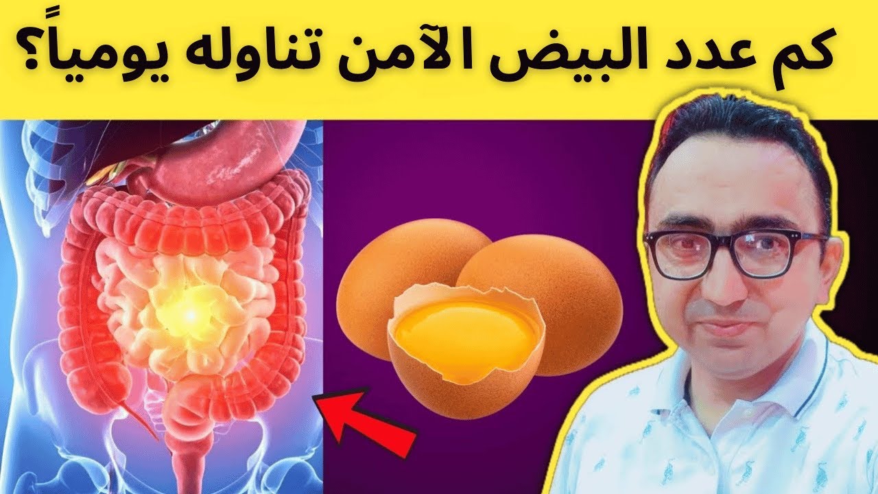 كم عدد البيض الآمن فعلاً يومياً لكبار السن فوق الخمسين؟ طبيب يكشف الحقيقة الصادمة!