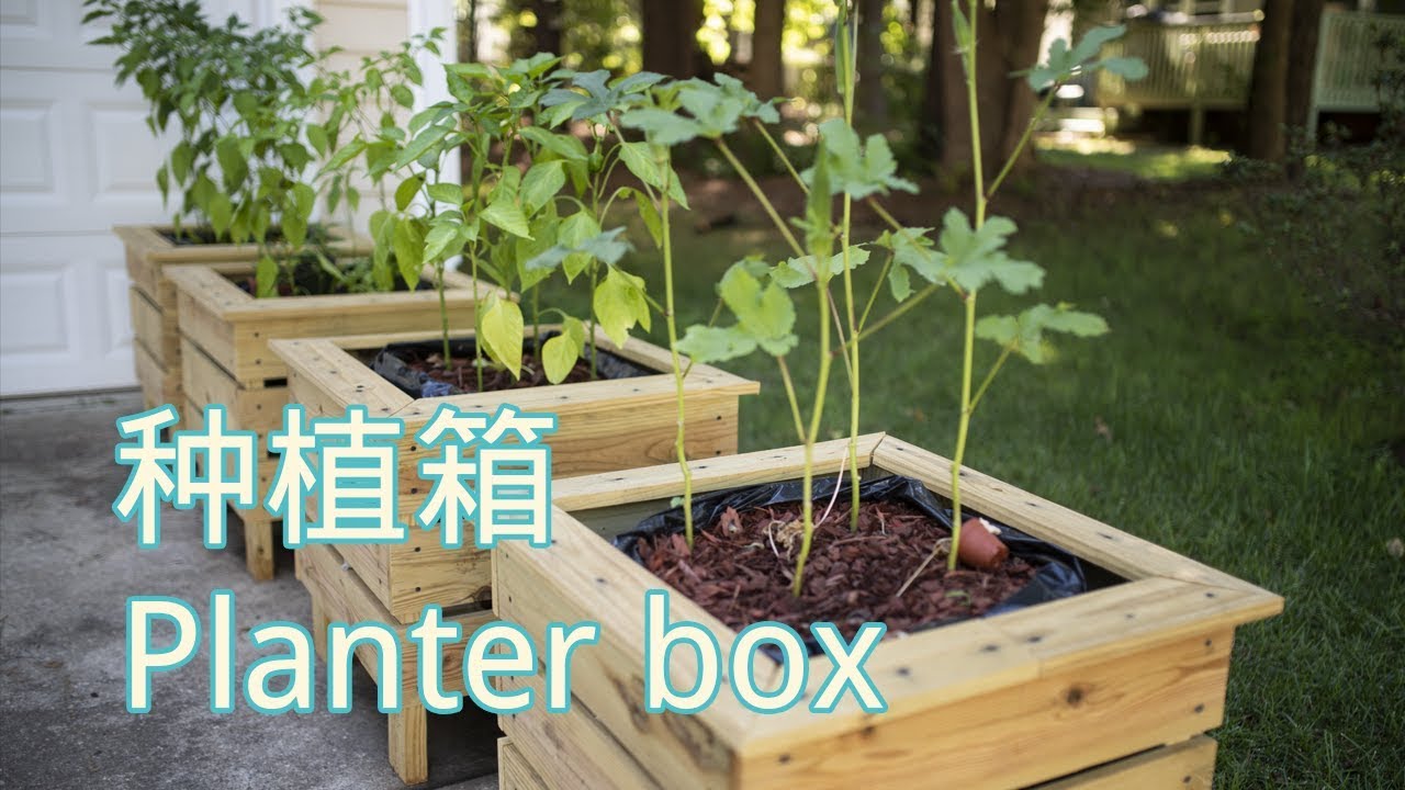 种植箱 Planter Box | 大叔教你如何在房门口种蔬菜 【大叔工房02】