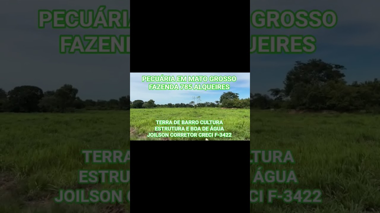 Fazenda 785 Alqueires 120km Cuiabá Documentada #fazenda #pecuaria #pecuarista ##fazendaavenda #boi