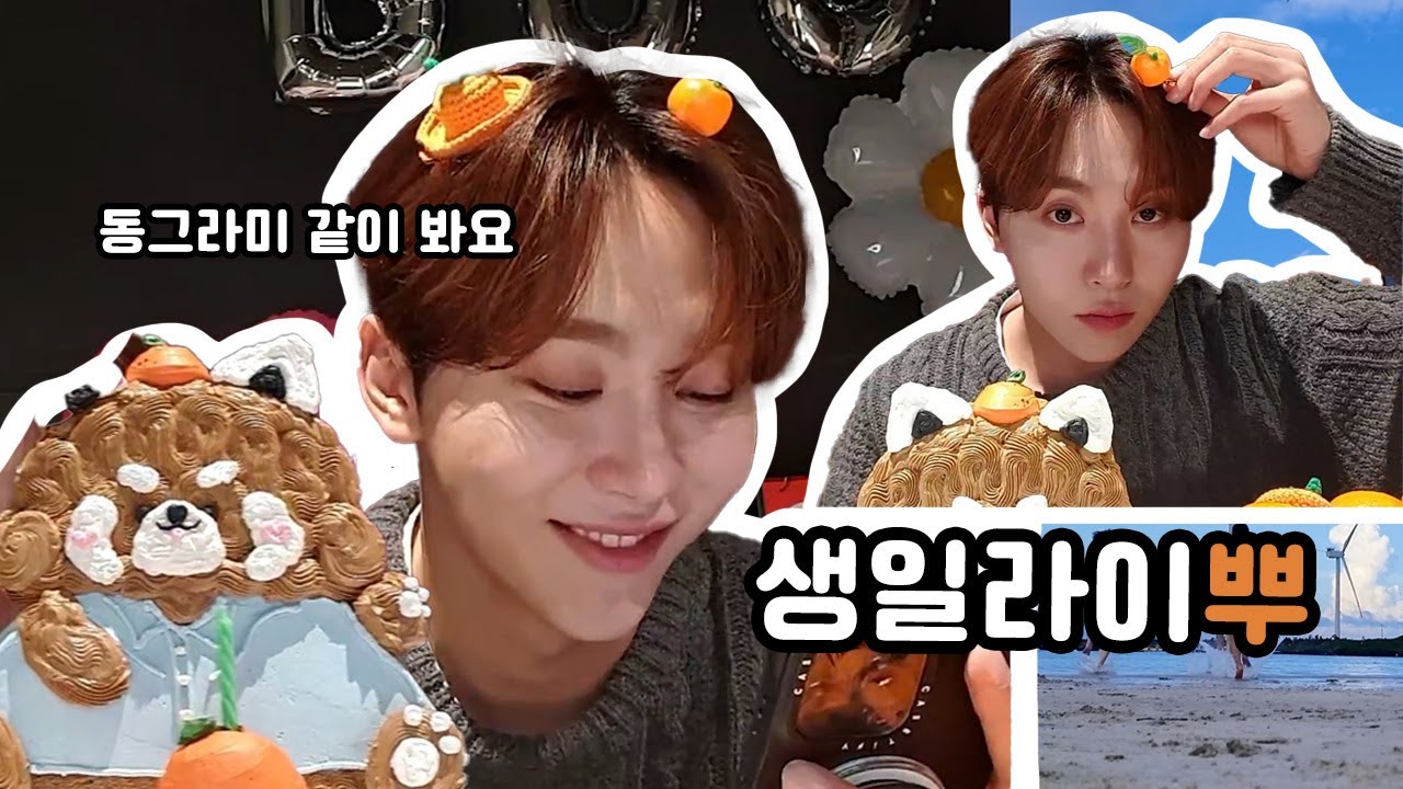 [세븐틴 승관] 2024 생일라이뿌 ㅣ 동그라미 같이 봐요 , 부승관 모에화 순위