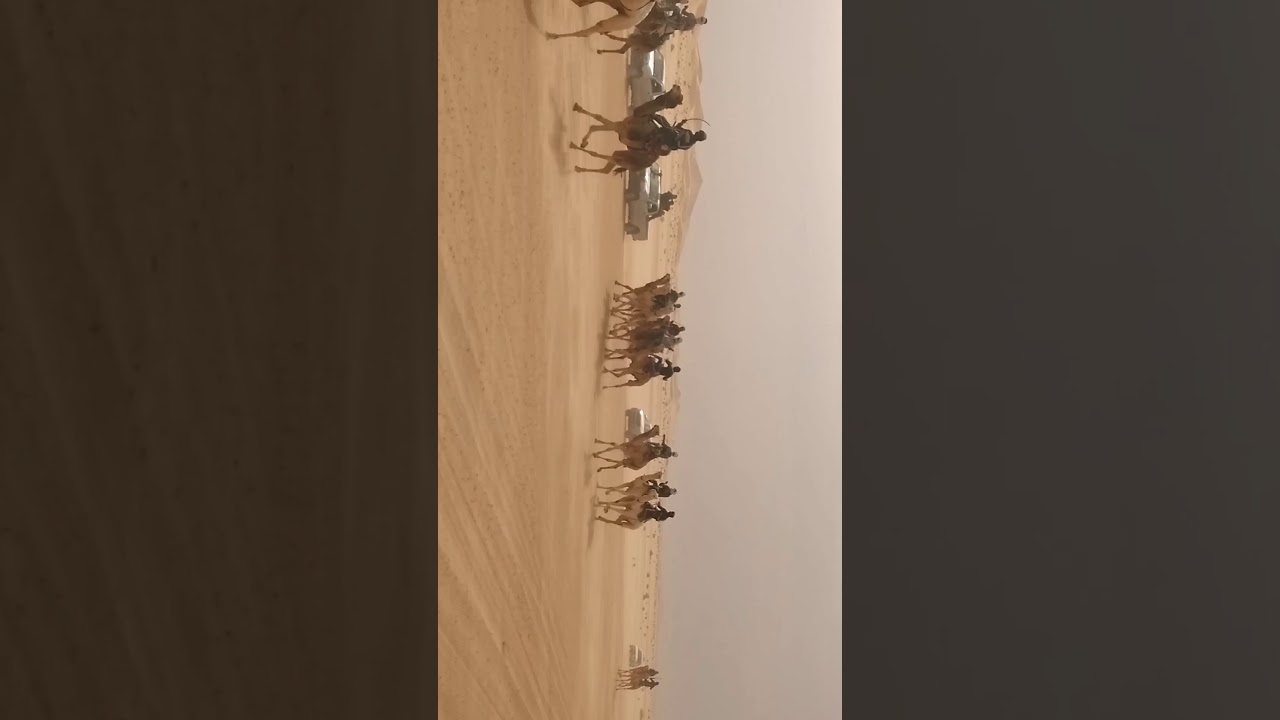 سباق المهاري حاسي مسعود 2021/03/13 يوم السبت